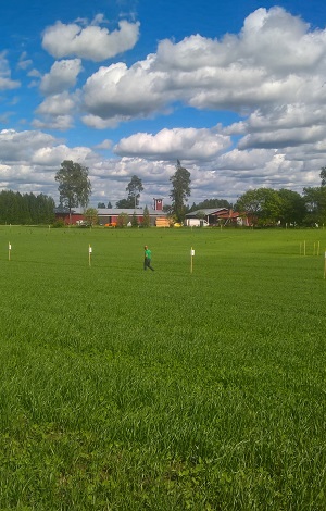 Koepeltojen tarkistusta Kiteellä. Kuva: Tanja Myllyviita